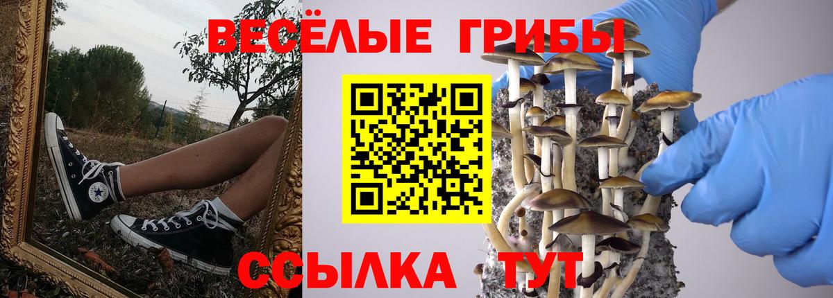 Галлюциногенные грибы Cubensis  наркотики  Курчатов  Вход с VPN 